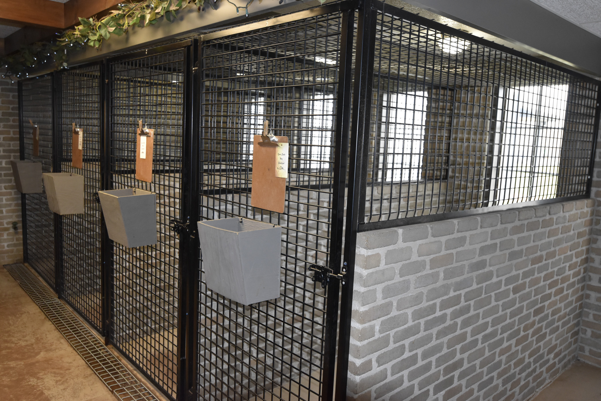 Pet Window suite