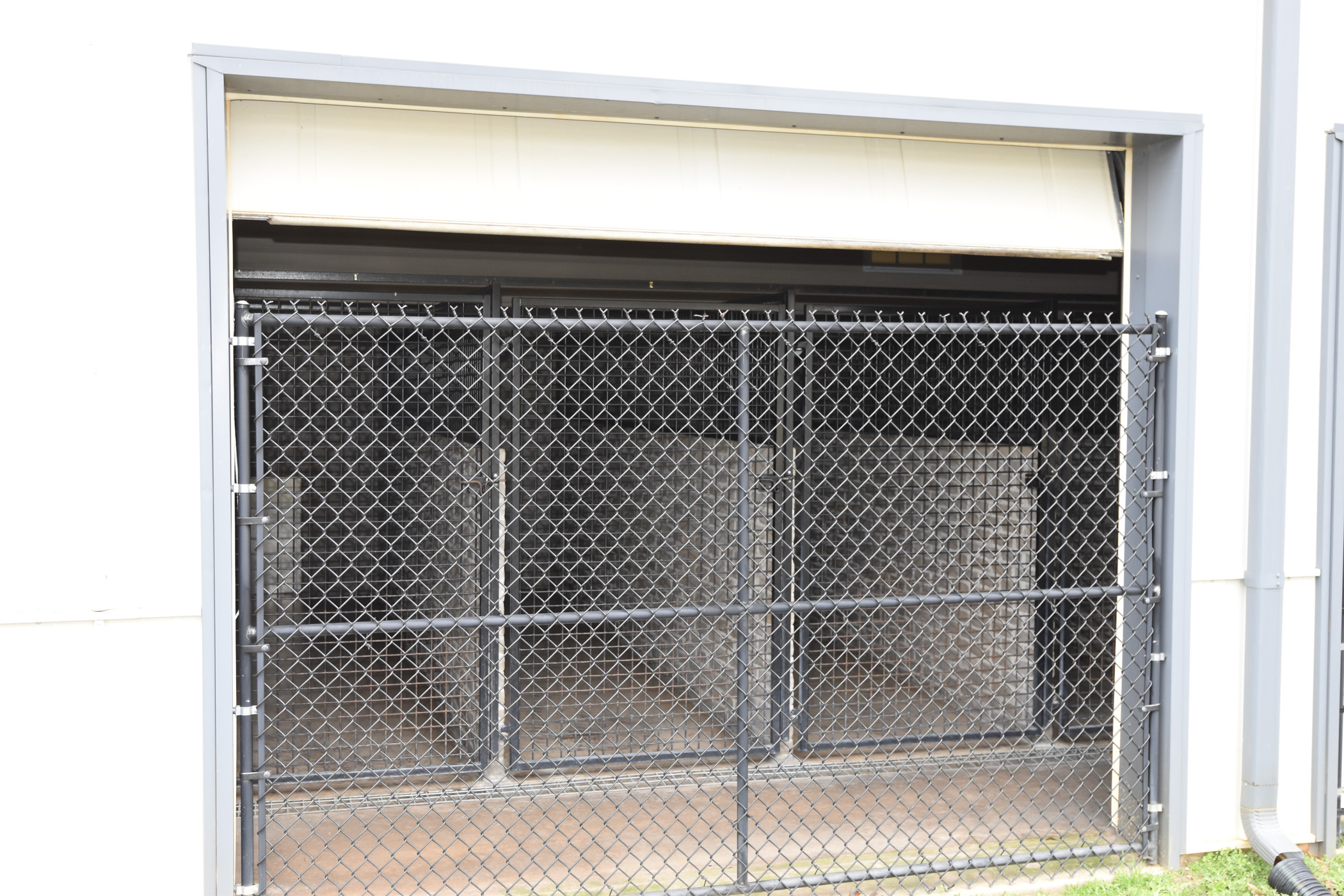 Pet lodging 1
